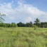  Land for sale in Sadiang, Mueang Phetchabun, Sadiang