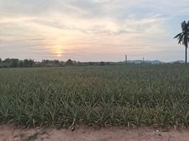 ขายที่ดิน ใน บ้านบึง ชลบุรี, หนองไผ่แก้ว