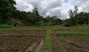 N/A Land for sale in Chiang Dao, Chiang Mai 