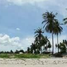  Land for sale in Koh Samui, Koh Samui