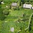  Land for sale in Thalang Phuket, Thep Krasattri