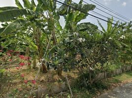  Land for sale in Tha Raeng, Bang Khen, Tha Raeng