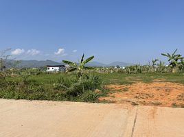  Grundstück zu verkaufen in Mae Sai, Chiang Rai, Pong Pha, Mae Sai, Chiang Rai