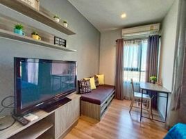 Studio Apartment for rent at Chapter One Midtown Ladprao 24, Chomphon