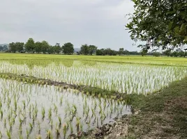  Grundstück zu verkaufen in Mae Rim, Chiang Mai, San Pong, Mae Rim