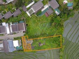  Land for sale in Indonesia, Canggu, Badung, Bali, Indonesia