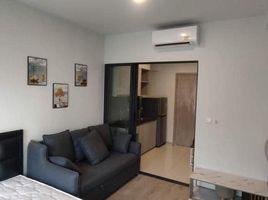 1 Bedroom Apartment for rent at The Tree Pattanakarn - Ekkamai, Suan Luang