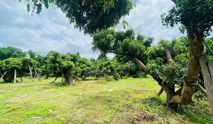 N/A Land for sale in Mueang Kaeo, Chiang Mai 