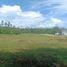  Land for sale in Bang Po Beach, Maenam, Maenam