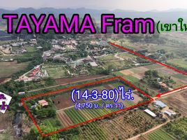  Land for sale in Nakhon Ratchasima, Khlong Muang, Pak Chong, Nakhon Ratchasima