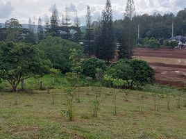  Земельный участок for sale in Phetchabun, Thung Samo, Khao Kho, Phetchabun