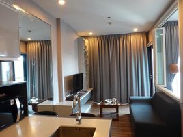 1 Schlafzimmer Wohnung zu vermieten im Wyne Sukhumvit, Phra Khanong, Khlong Toei, Bangkok