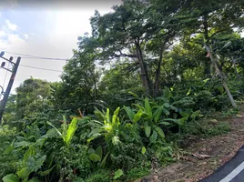  Land for sale in Karon, Phuket Town, Karon