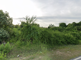  Land for sale in A Noru, Mueang Pattani, A Noru