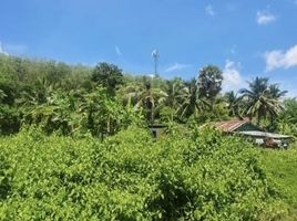  Земельный участок for sale in Ko Kaeo, Пхукет Тощн, Ko Kaeo