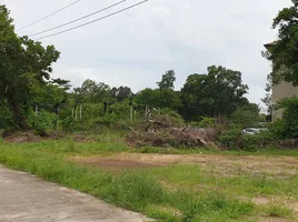  Land for sale in Thailand, Bang Muang, Takua Pa, Phangnga, Thailand