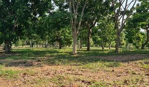 清莱 Huai Sak N/A 土地 售 