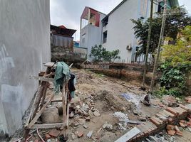  Grundstück zu verkaufen in Long Bien, Hanoi, Giang Bien, Long Bien