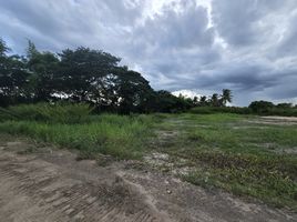  Land for sale in Han Kaeo, Hang Dong, Han Kaeo