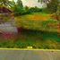  Land for sale in San Kamphaeng Chiang Mai, Mae Pu Kha