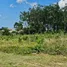 Land for sale in Choeng Thale, Phuket, Choeng Thale, Thalang