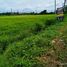  Land for sale in Ratchaburi, Pak Tho, Pak Tho, Ratchaburi