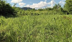 N/A Land for sale in Rawai, Phuket 