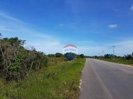  Grundstück zu verkaufen in Porto Seguro, Bahia, Trancoso, Porto Seguro, Bahia