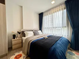 2 Bedroom Condo for rent at Dcondo Reef Phuket, Kathu