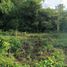  Land for sale in Udon Thani, Na Di, Mueang Udon Thani, Udon Thani