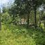  Land for sale in Mai Khao, Phuket, Mai Khao, Thalang