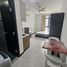 Studio Apartment for rent at One Oasis Cebu, Cebu City, Cebu, Central Visayas, Philippines