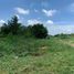  Land for sale in Khlong Luang, Pathum Thani, Khlong Sam, Khlong Luang