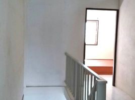 2 Schlafzimmer Reihenhaus zu vermieten in Bang Na, Bangkok, Bang Na, Bang Na
