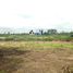  Land for sale in Mueang Ubon Ratchathani, Ubon Ratchathani, Chaeramae, Mueang Ubon Ratchathani