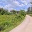  Land for sale in Phuket, Choeng Thale, Thalang, Phuket