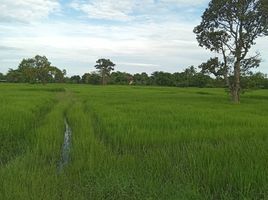  Grundstück zu verkaufen in Mueang Surin, Surin, Nok Mueang, Mueang Surin