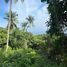  Land for sale in Surat Thani, Maret, Koh Samui, Surat Thani