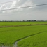  Land for sale in Thailand, Phra Achan, Ongkharak, Nakhon Nayok, Thailand