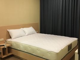 1 Schlafzimmer Wohnung zu vermieten im The Capital Ratchaprarop-Vibha, Sam Sen Nai