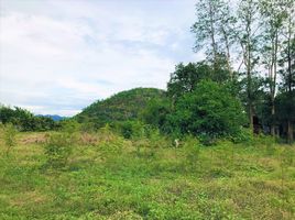  Land for sale in Kanchanaburi, Wang Dong, Mueang Kanchanaburi, Kanchanaburi