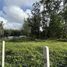  Land for sale in Si Sunthon, Phuket, Si Sunthon, Thalang, Phuket