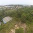  Land for sale in Thalang, Phuket, Sakhu, Thalang