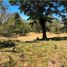  Land for sale in Las Lomas, David, Las Lomas