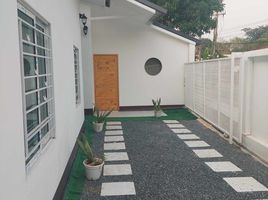 4 Bedroom House for rent in Mueang Kaeo, Mae Rim, Mueang Kaeo