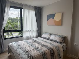 1 Bedroom Apartment for rent at The Cube Amaze, Si Sunthon, Thalang