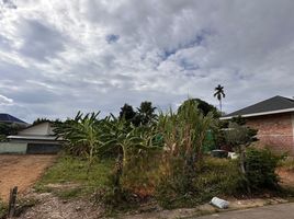  Grundstück zu verkaufen in Phuket Town, Phuket, Talat Nuea