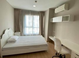 1 Bedroom Condo for rent at CU Terrace, Wang Mai, Pathum Wan
