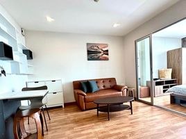 Studio Apartment for rent at Casa Condo Sukhumvit 97, Bang Chak