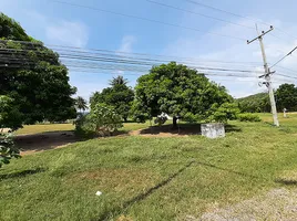  Land for sale in Pran Buri, Prachuap Khiri Khan, Nong Ta Taem, Pran Buri